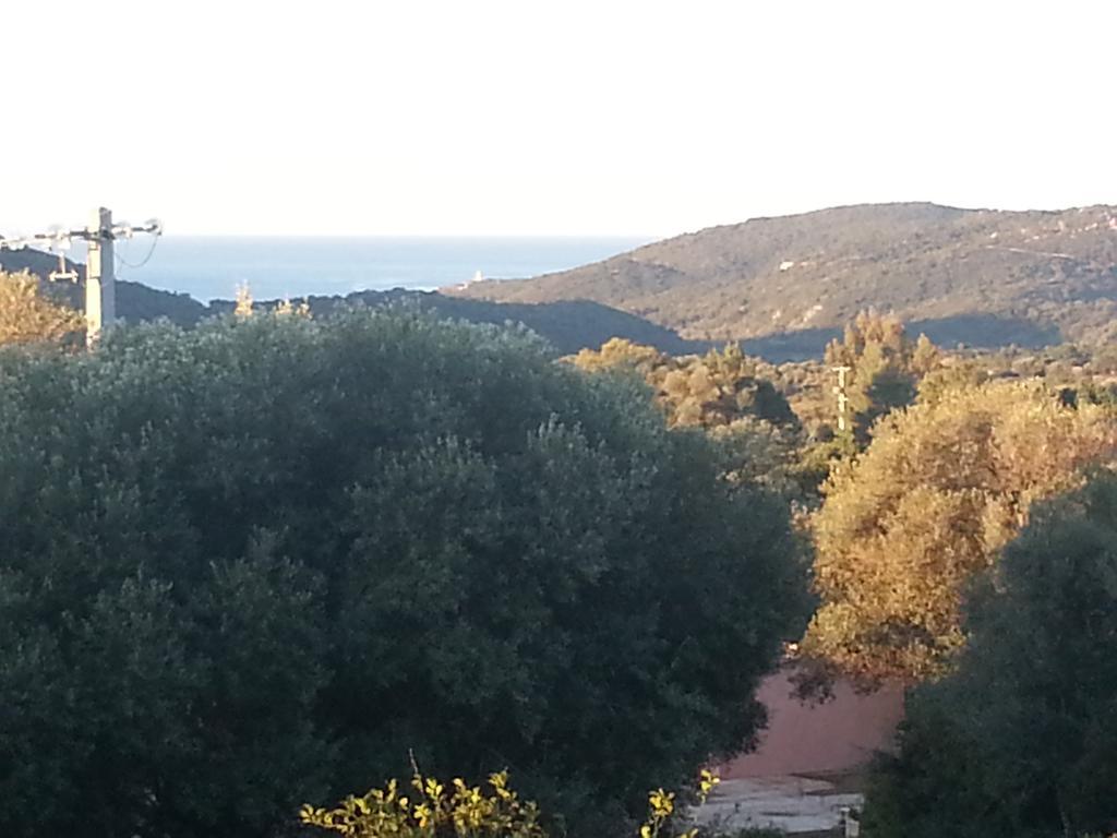 Gite Tomasini Monacia-d'Aullene Buitenkant foto